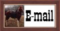 E-mail Double B Acres