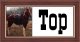 Go to Top