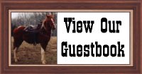 View Guestbook