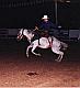 Rodeo #1