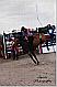 Rodeo #5