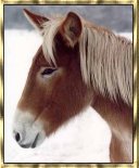We train mules.