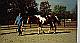 Bobbie Training #2